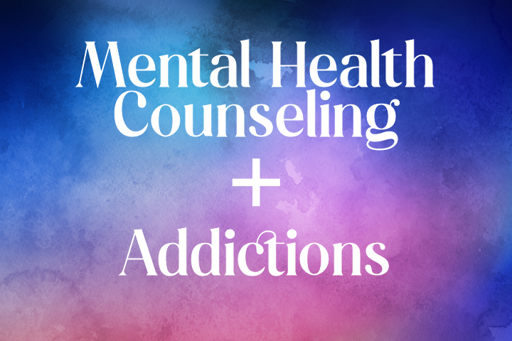 Professional Mental Health Counseling and Addictions Counseling Graduate Program
