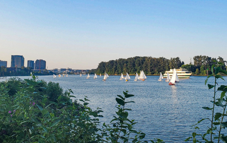 Sailboats dot the Willamette River at dusk, just down the hill from Lewis & Clark.